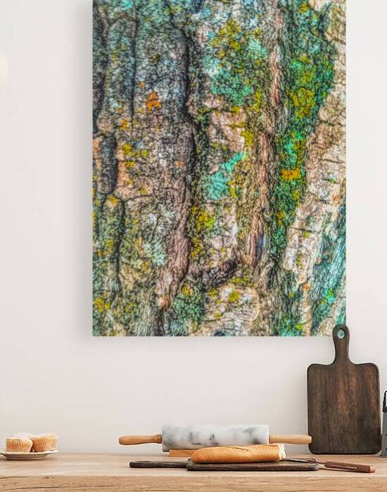 Beautiful Tree Bark by Thea Menagh