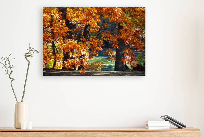 Mighty Oaks in Their Fall Robes by Thea Menagh