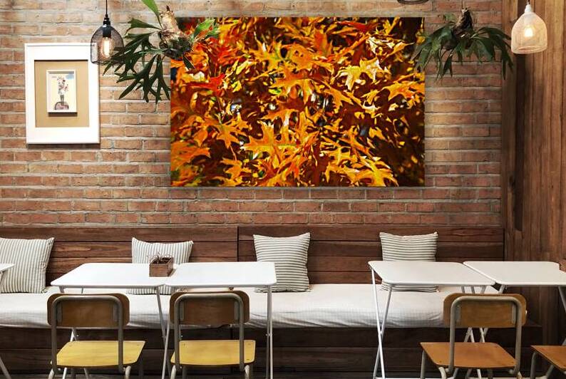 Oak Leaves in the Golden Color of the Fall Sun by Thea Menagh