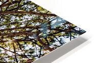 INSEPERABLE HD Metal print