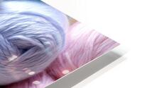 Fluffiness Overload HD Metal print