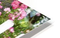 Fancy Fence HD Metal print