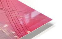 Red to Mauve HD Metal print