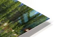 Our Glorious Alberta HD Metal print