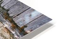 Queen and the Barn HD Metal print