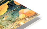 Fall in the Meadow HD Metal print