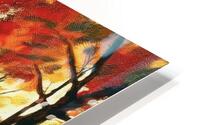 Maple Tree Forest HD Metal print