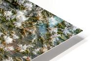 Ice Crystals HD Metal print