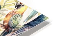 Perfect Parrots for a Mural HD Metal print