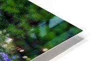 Planters in Blue HD Metal print