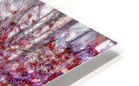 Bush on Fire HD Metal print