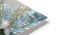 Ice Cone Without the Cream HD Metal print