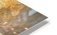 Soft and Translucent Petals HD Metal print