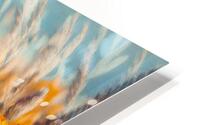 Harmless tiger lillies HD Metal print