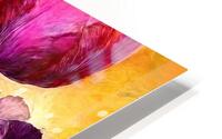 Double Rainbow Tulips HD Metal print