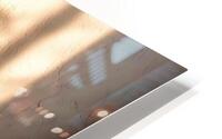 Simply Elegant HD Metal print
