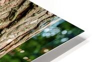 Snapdragon Tree Huggers HD Metal print