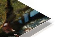 Small Trail Through Big Trees HD Metal print