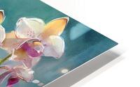 Rooting Orchids HD Metal print
