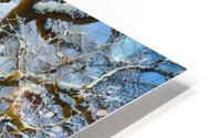 The Mighty Oak HD Metal print