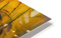Runny Eggs HD Metal print