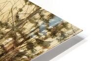 Beautiful Winter Light HD Metal print