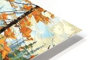 Algonquin Park  HD Metal print