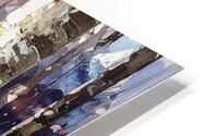 Birch Tree Bottoms HD Metal print
