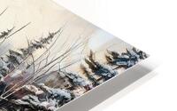 Barren HD Metal print