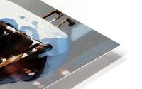 Stuck and Rusted HD Metal print