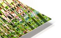 A Sixties Abstract Print HD Metal print