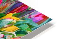 Not One Colour Missing HD Metal print