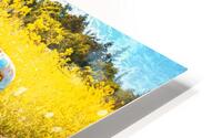 So Many Memories HD Metal print