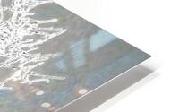 Ice-Covered Branch HD Metal print