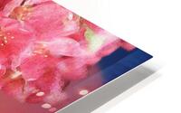 Pink Cherry Blossoms HD Metal print