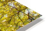 Love that Spring Green  HD Metal print