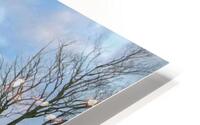 Somewhere in Canada HD Metal print