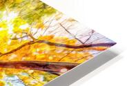 Lie Down and Look Up HD Metal print