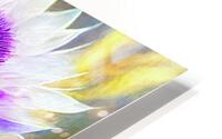 Transparent Thistles HD Metal print