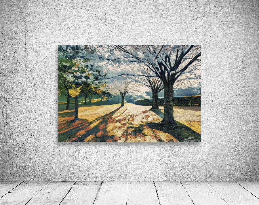 Spring in High Park Toronto Wall Preview
