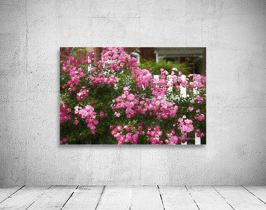 Wee Wed Woses Wall Preview