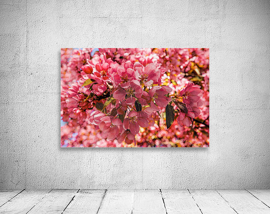 Apple Blossoms Maybe Wall Preview