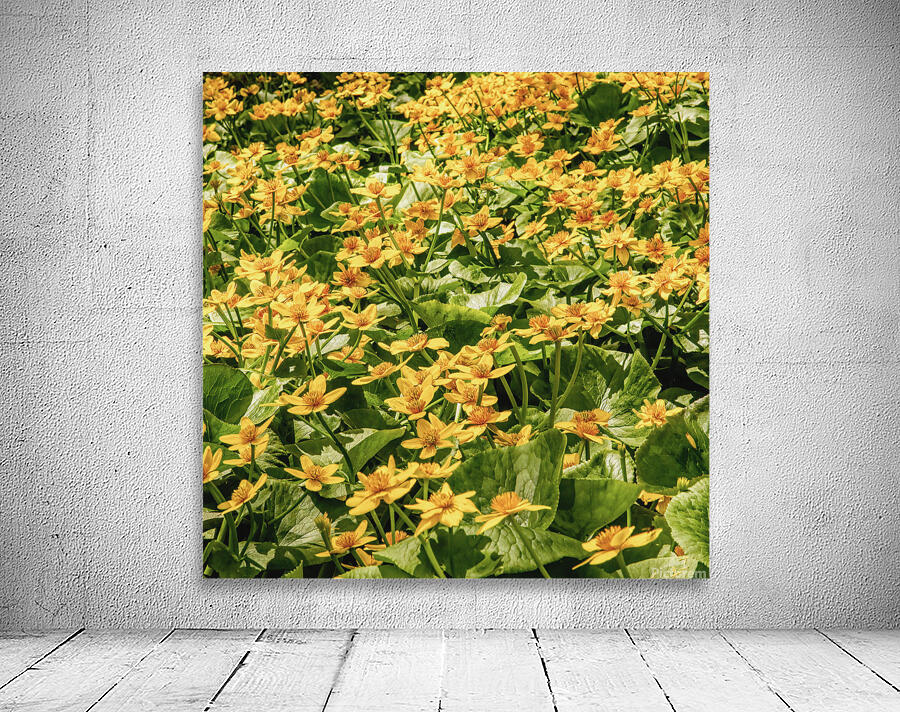 Sunny Yellow Meadow Wall Preview