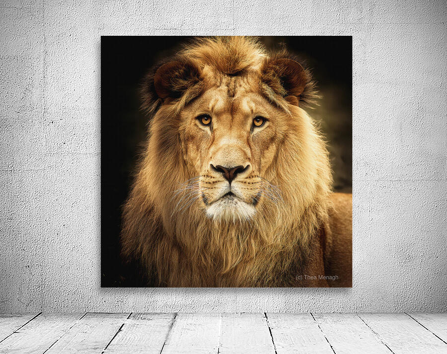Lion King Wall Preview