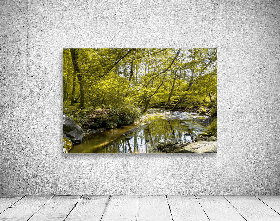 Resting by the Spring Stream Wall Preview