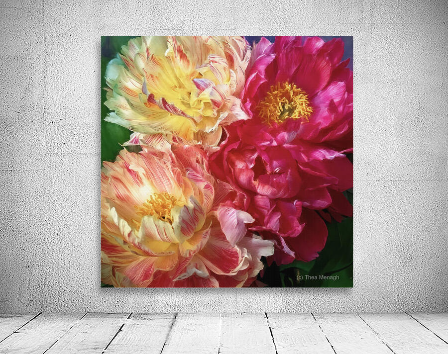 Soft As a Cloud Peonies Wall Preview