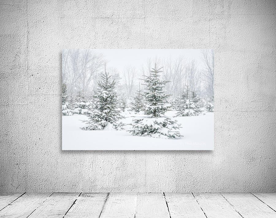 pretty little trees Wall Preview