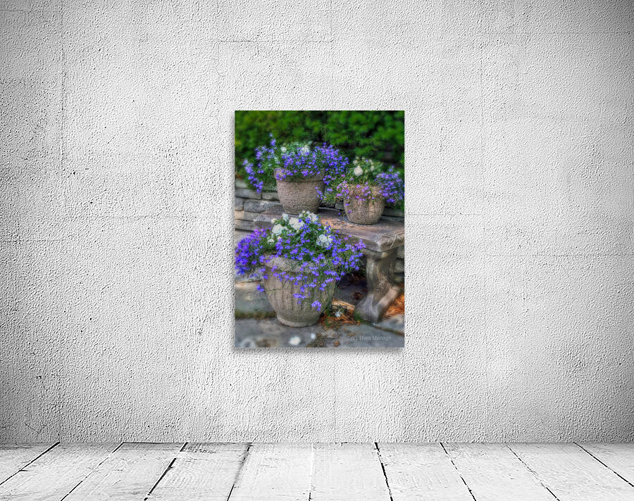 Planters in Blue Wall Preview