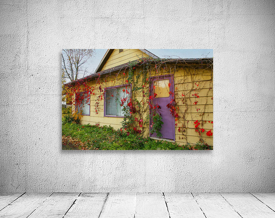 Purple Door Wall Preview