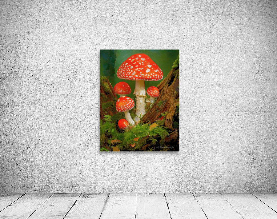 Red Spotted Toadstools Wall Preview